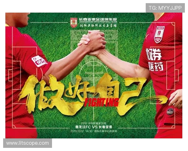 仁川东土大象迎战安阳球队全力争胜展现实力与团队合作精神